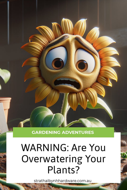 WARNING: Are You Overwatering Your Plants?