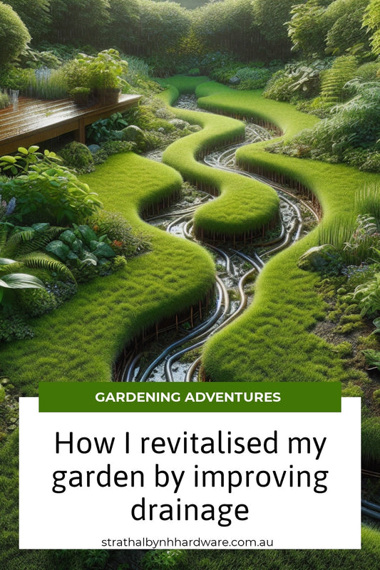How I revitalised my garden by improving drainage