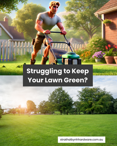 Struggling to Keep Your Lawn Green?