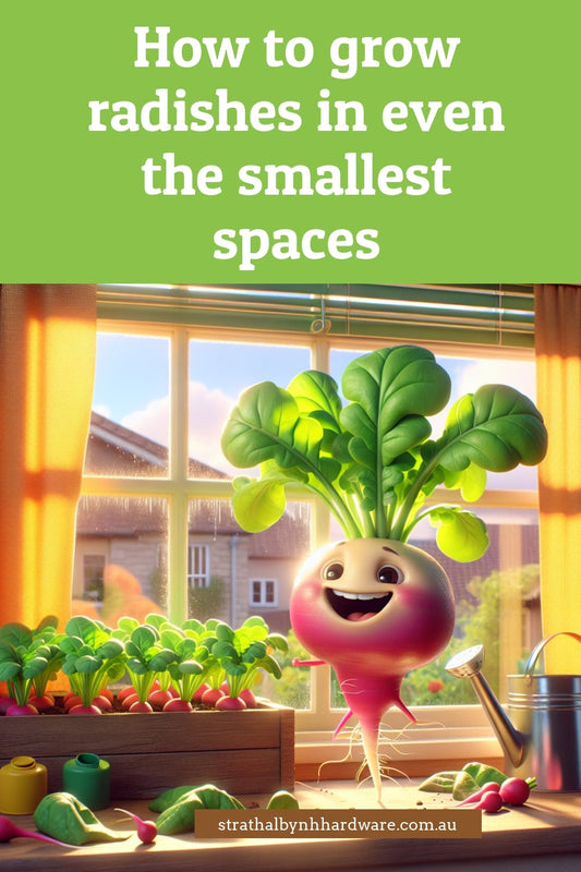 How to grow radishes in even the smallest spaces