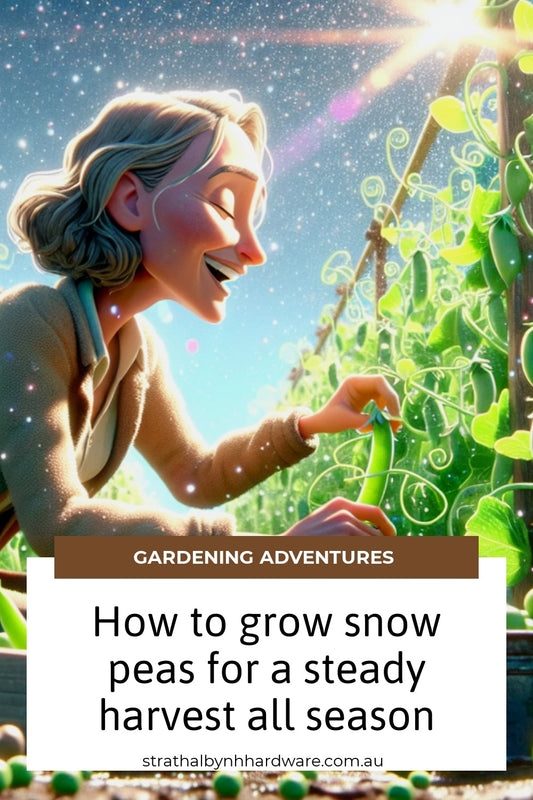 How to grow snow peas for a steady harvest all season