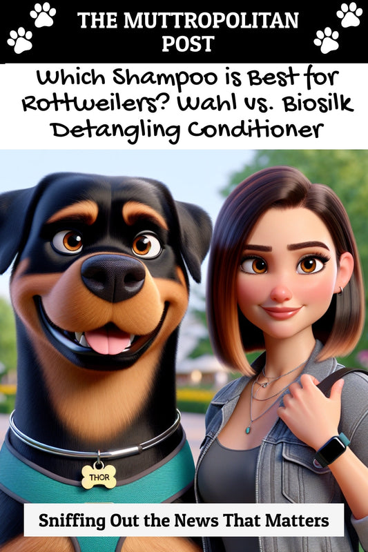 Which Shampoo is Best for Rottweilers? Wahl vs. Biosilk Detangling Conditioner