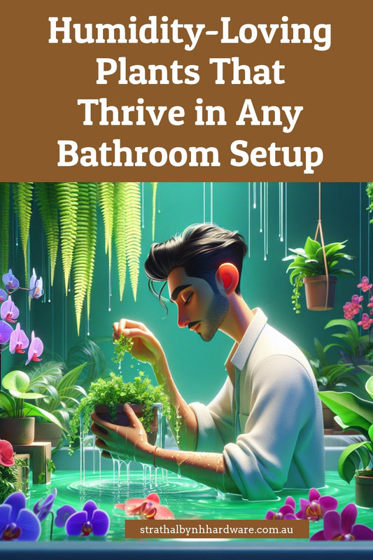 Humidity-Loving Plants That Thrive in Any Bathroom Setup