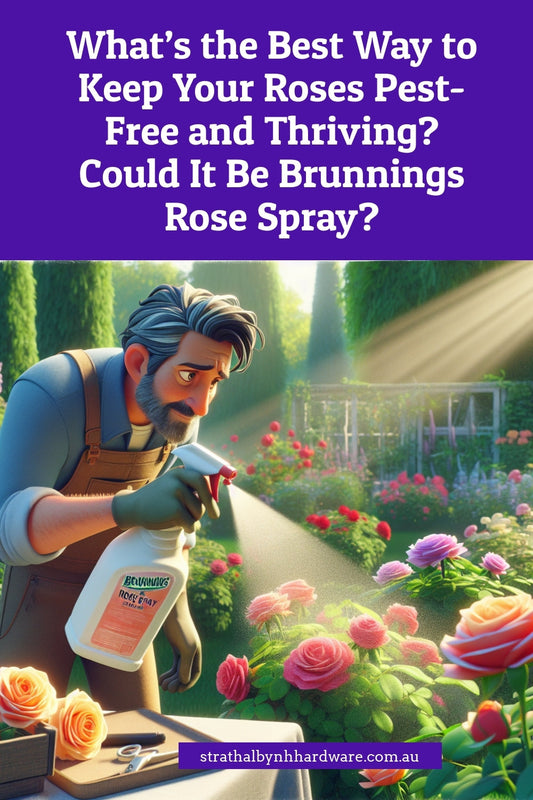 What’s the Best Way to Keep Your Roses Pest-Free and Thriving? Could It Be Brunnings Rose Spray?