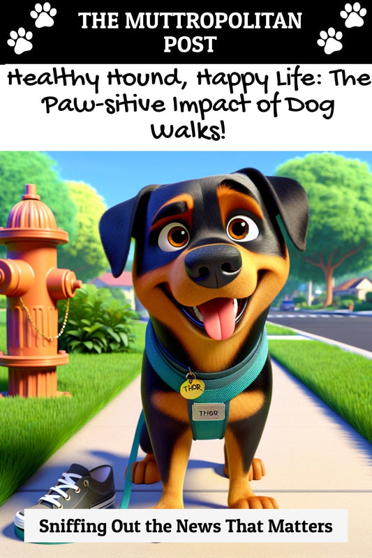 Healthy Hound, Happy Life: The Paw-sitive Impact of Dog Walks!