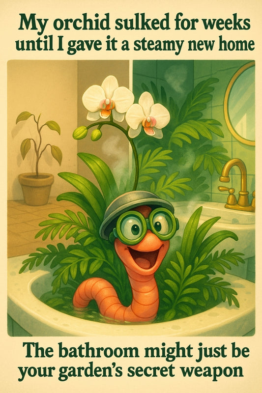 Orchids hate dry rooms… but your bathroom? 🛁👇