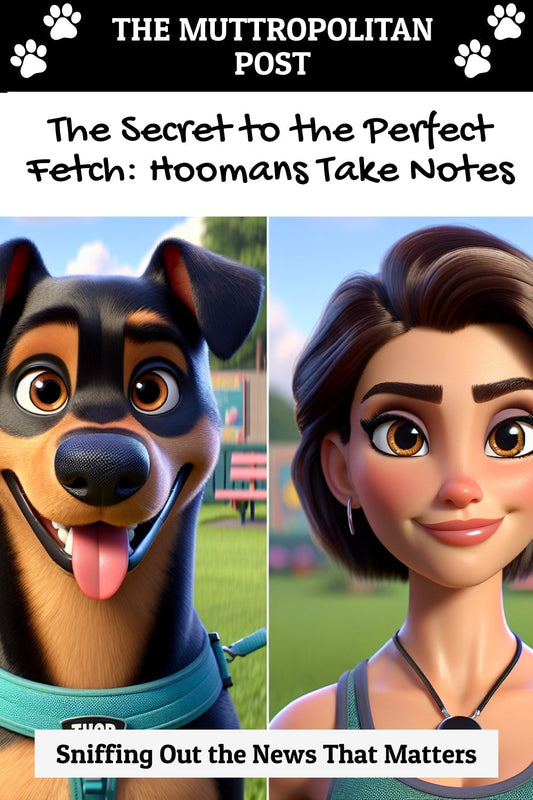 The Secret to the Perfect Fetch: Hoomans Take Notes