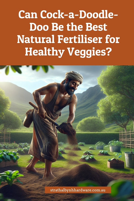 Can Cock-a-Doodle-Doo Be the Best Natural Fertiliser for Healthy Veggies?