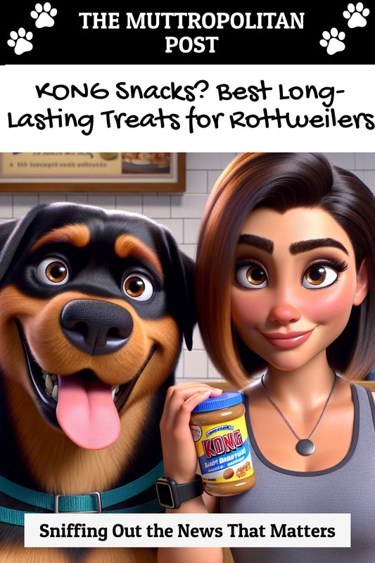KONG Snacks? Best Long-Lasting Treats for Rottweilers