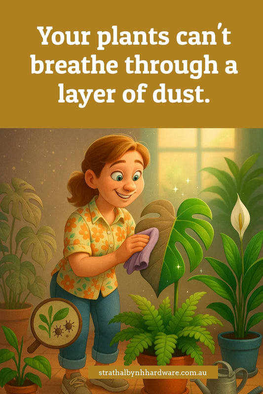 What happens when you don’t clean your plants (it’s grosser than you think)