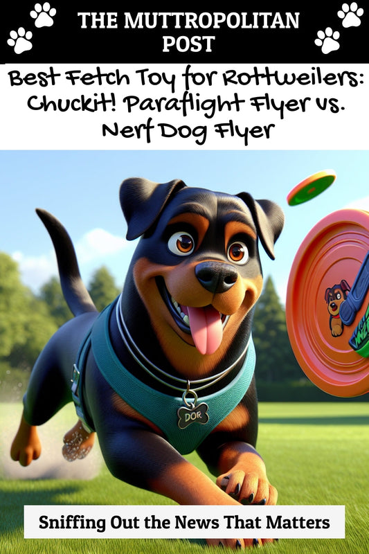 Best Fetch Toy for Rottweilers: Chuckit! Paraflight Flyer vs. Nerf Dog Flyer