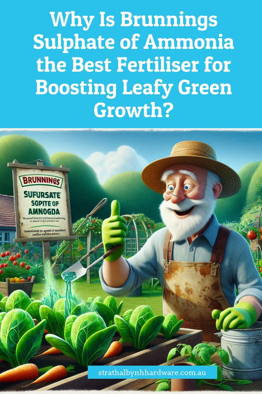 Why Is Brunnings Sulphate of Ammonia the Best Fertiliser for Boosting Leafy Green Growth?