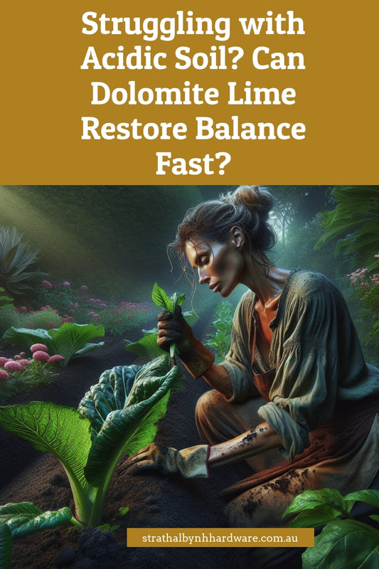 Struggling with Acidic Soil? Can Dolomite Lime Restore Balance Fast?