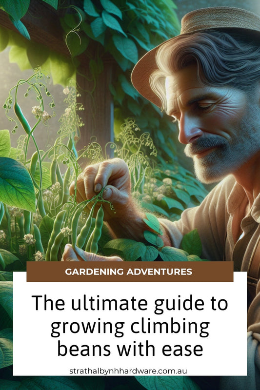 The ultimate guide to growing climbing beans with ease