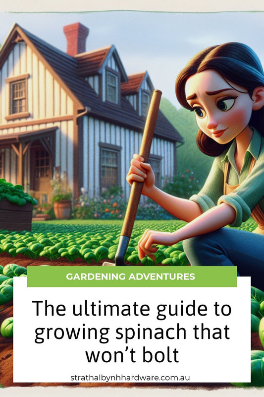 The ultimate guide to growing spinach that won’t bolt