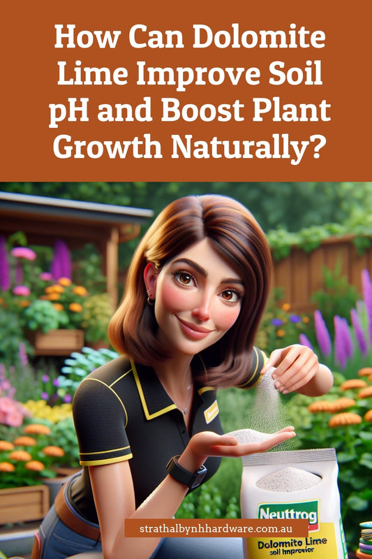 How Can Dolomite Lime Improve Soil pH and Boost Plant Growth Naturally?