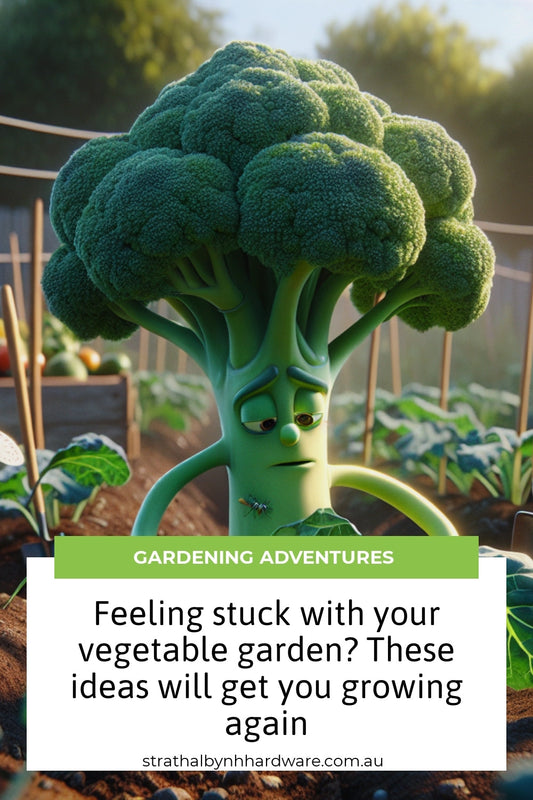 Feeling stuck with your vegetable garden? These ideas will get you growing again