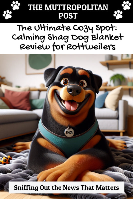 The Ultimate Cozy Spot: Calming Shag Dog Blanket Review for Rottweilers