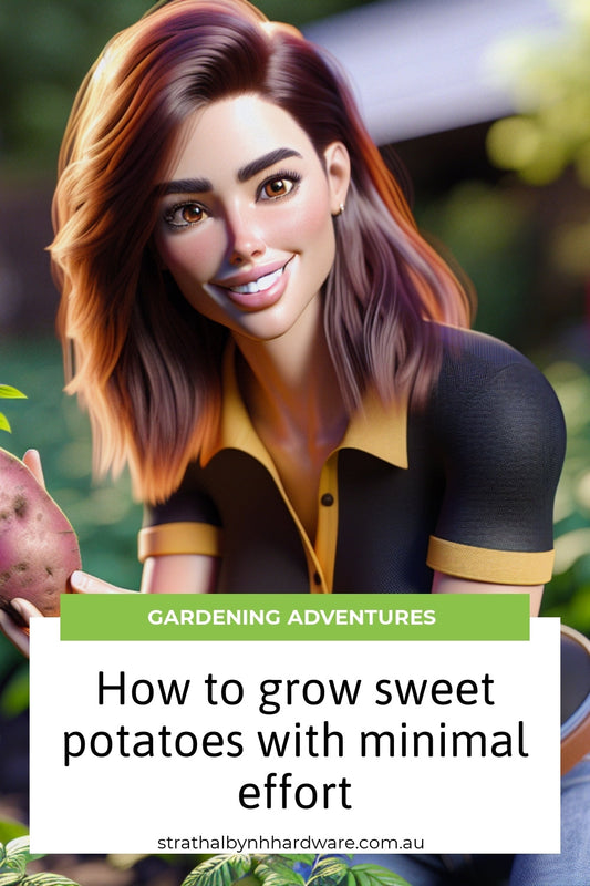 How to grow sweet potatoes with minimal effort