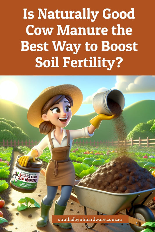 Is Naturally Good Cow Manure the Best Way to Boost Soil Fertility?