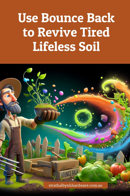 Use Bounce Back to Revive Tired Lifeless Soil