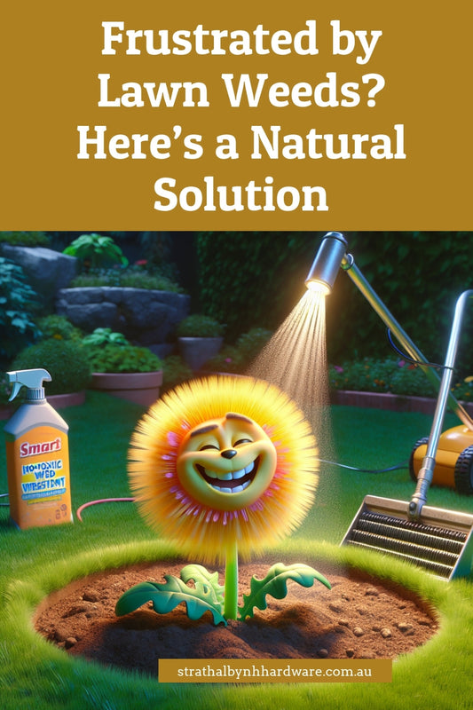 Frustrated by Lawn Weeds? Here’s a Natural Solution