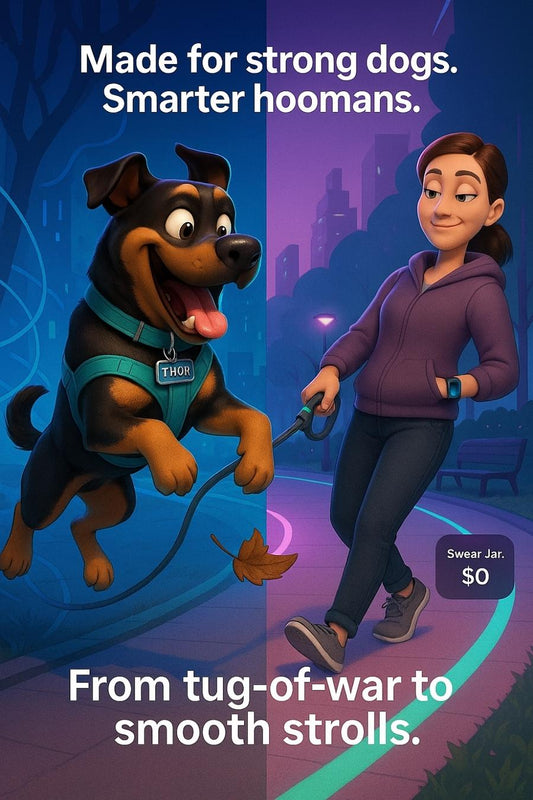 KONG made a leash for strong dogs… but does it pass the Rottweiler test? 👇