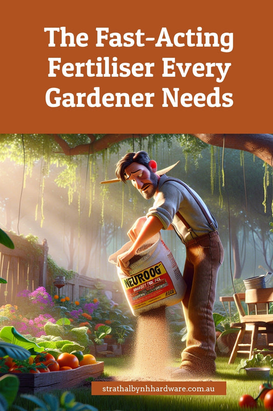 The Fast-Acting Fertiliser Every Gardener Needs