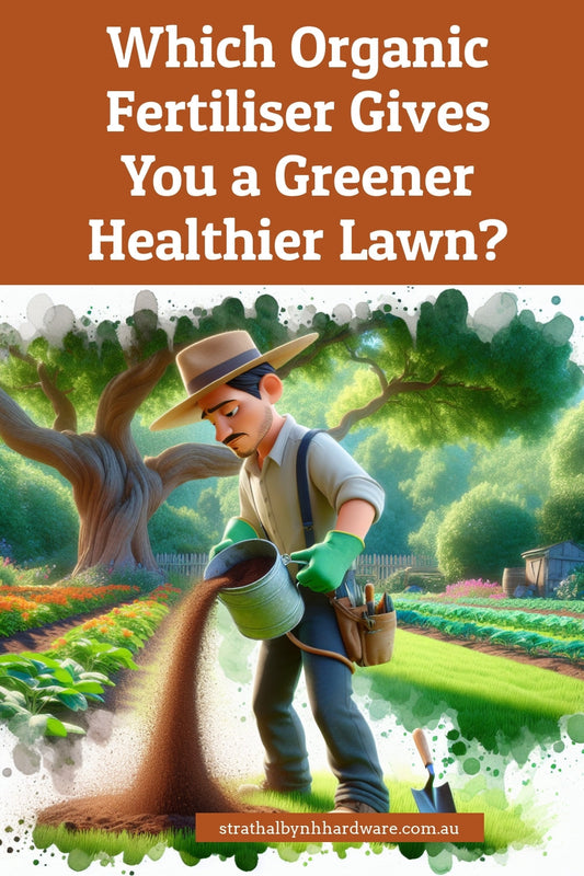 Which Organic Fertiliser Gives You a Greener Healthier Lawn?