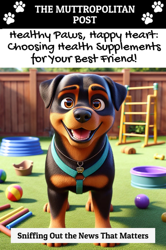 Healthy Paws, Happy Heart: Choosing Health Supplements for Your Best Friend!