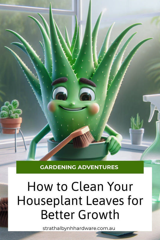 How to Clean Your Houseplant Leaves for Better Growth