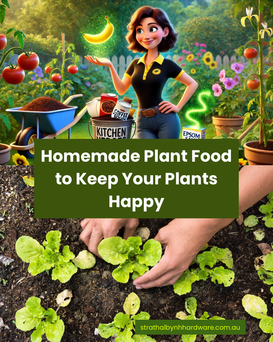 Homemade Plant Food to Keep Your Plants Happy