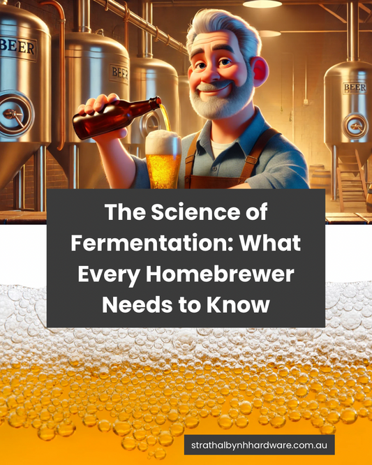 The Science of Fermentation: What Every Homebrewer Needs to Know