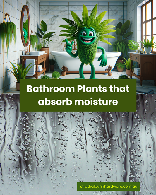 Bathroom Plants that absorb moisture (no more steamy showers)