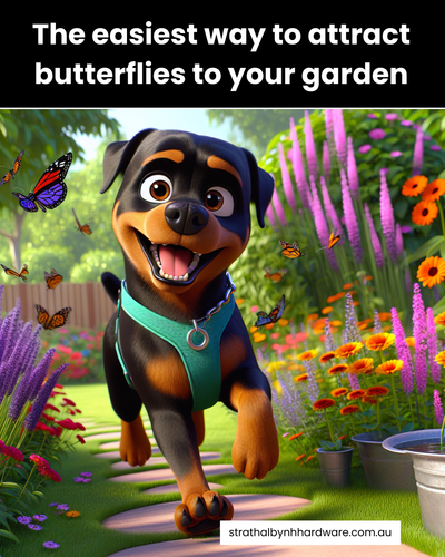 The easiest way to attract butterflies to your garden