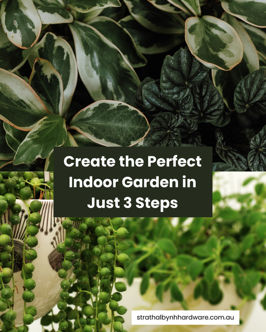 Create the Perfect Indoor Garden in Just 3 Steps