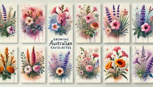 Brighten Your Garden: The Best Summer-Blooming Flowers for Your Garden
