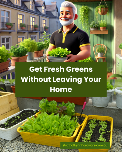 Get Fresh Greens Without Leaving Your Home