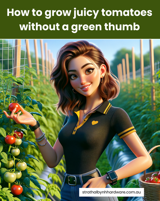 How to grow juicy tomatoes without a green thumb