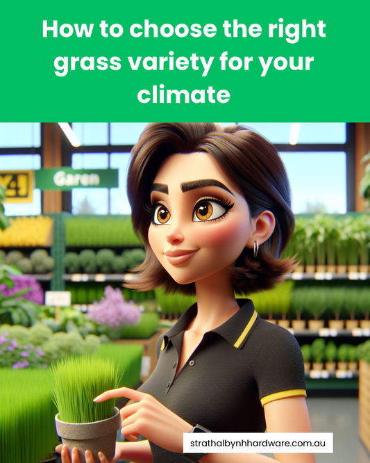 How to choose the right grass variety for your climate