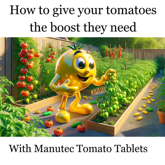 The Secret to Healthy Tomato Plants: Why Every Gardener Needs Manutec Tomato Tablets in Their Arsenal