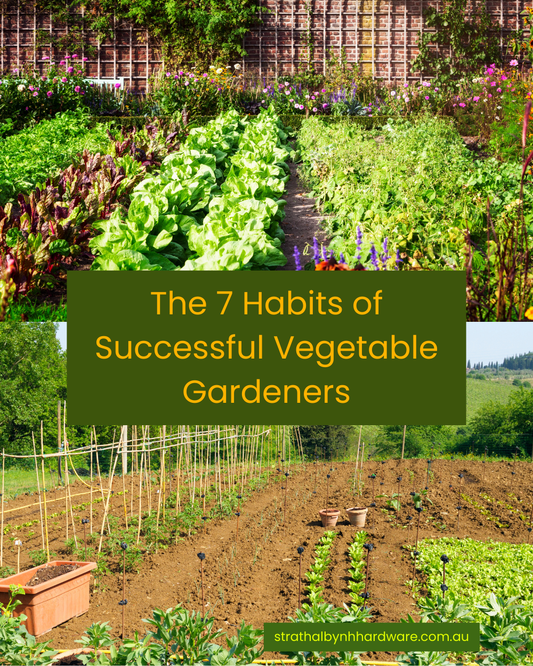 The 7 Habits of Successful Vegetable Gardeners