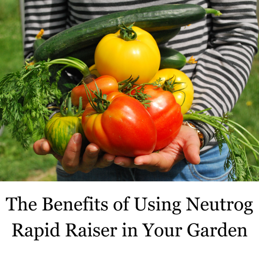 Unlock Nature’s Potential: The Benefits of Using Neutrog Rapid Raiser in Your Garden