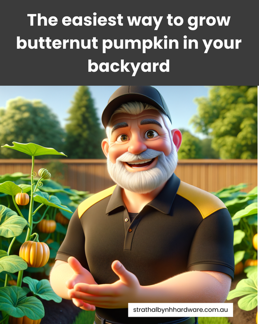 The easiest way to grow butternut pumpkin in your backyard