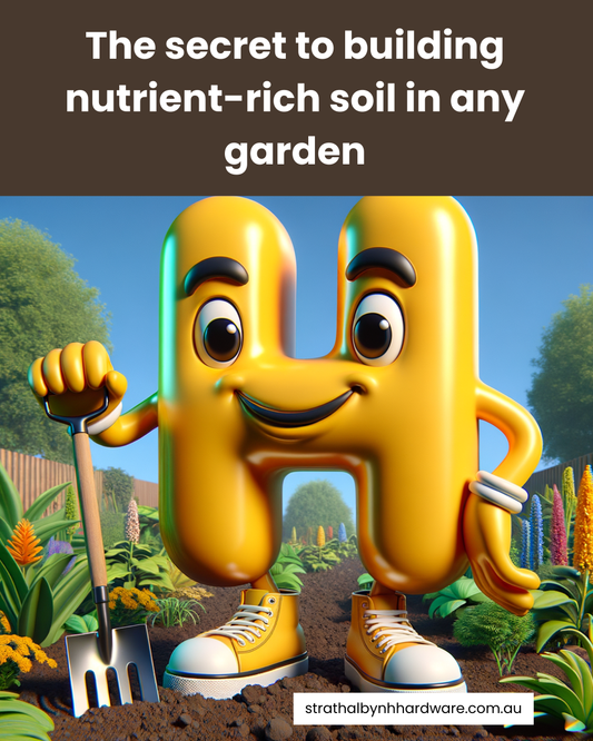 The secret to building nutrient-rich soil in any garden