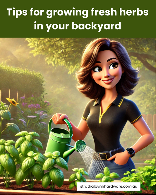 Tips for growing fresh herbs in your backyard