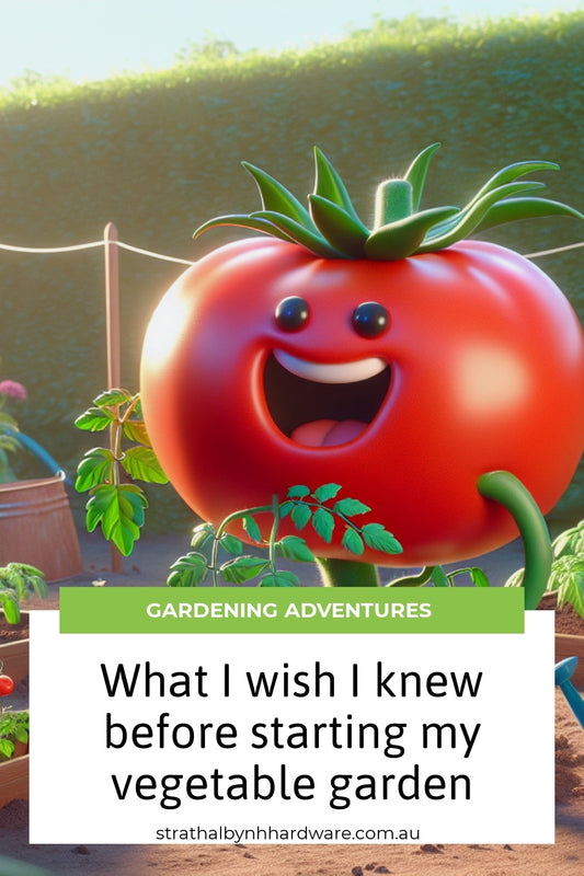 What I wish I knew before starting my vegetable garden