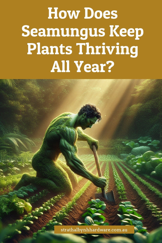 How Does Seamungus Keep Plants Thriving All Year?