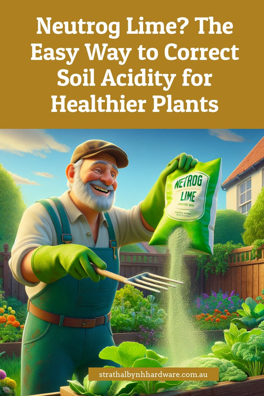 Neutrog Lime? The Easy Way to Correct Soil Acidity for Healthier Plants