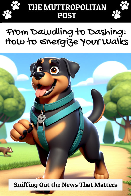 From Dawdling to Dashing: How to Energize Your Walks